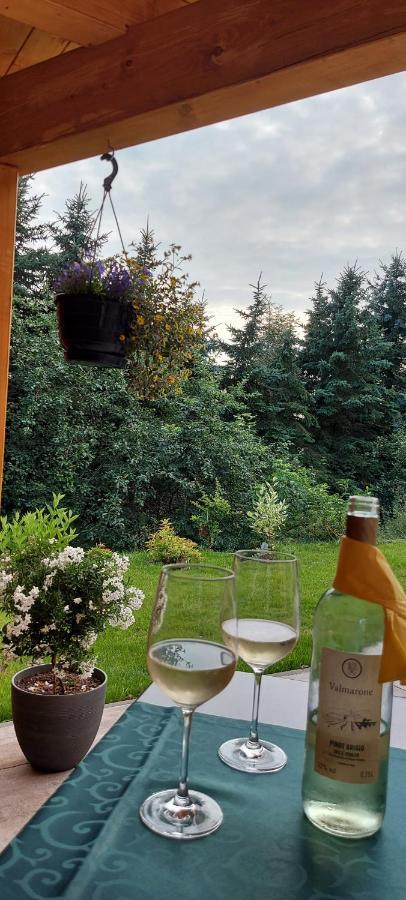 Ferienhaus Richtermuehle Sebnitz Zewnętrze zdjęcie